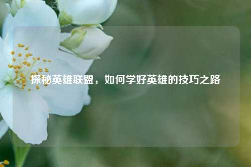 探秘英雄联盟,如何学好英雄的技巧之路
