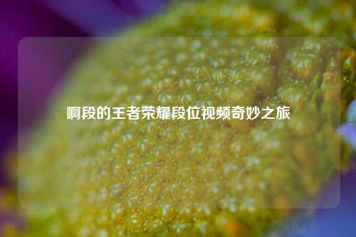 啊段的王者荣耀段位视频奇妙之旅