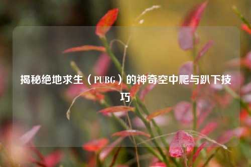 揭秘绝地求生(PUBG)的神奇空中爬与趴下技巧