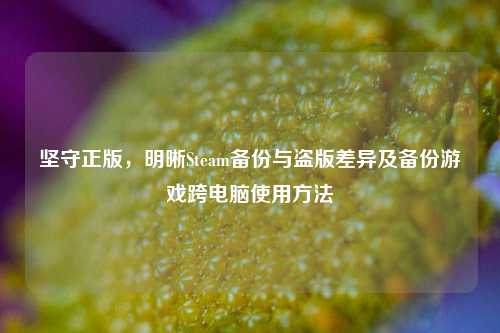 坚守正版,明晰Steam备份与盗版差异及备份游戏跨电脑使用 ***