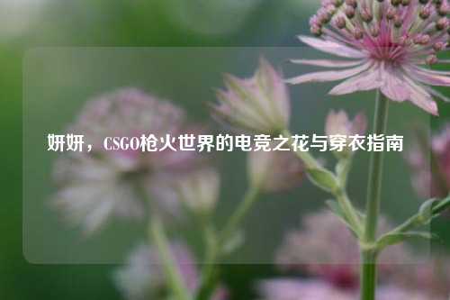 妍妍,CSGO枪火世界的电竞之花与穿衣指南