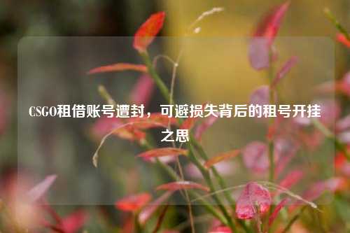 CSGO租借账号遭封,可避损失背后的租号开挂之思