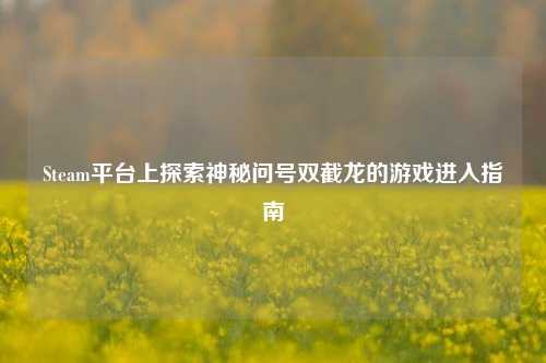 Steam平台上探索神秘问号双截龙的游戏进入指南