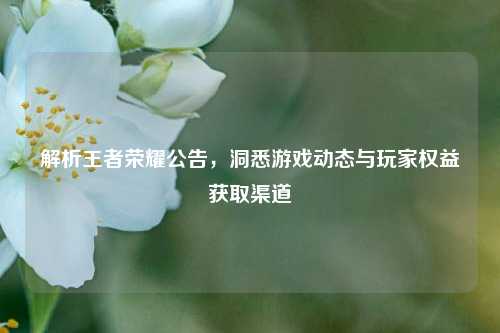 解析王者荣耀公告,洞悉游戏动态与玩家权益获取渠道