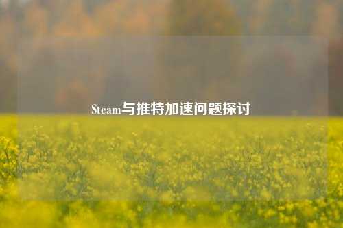 Steam与推特加速问题探讨