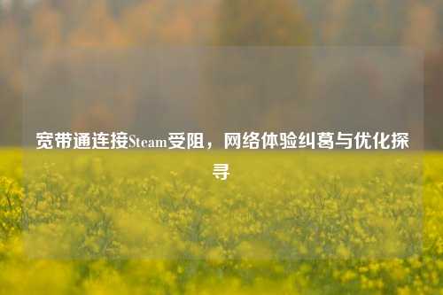 宽带通连接Steam受阻, *** 体验纠葛与优化探寻