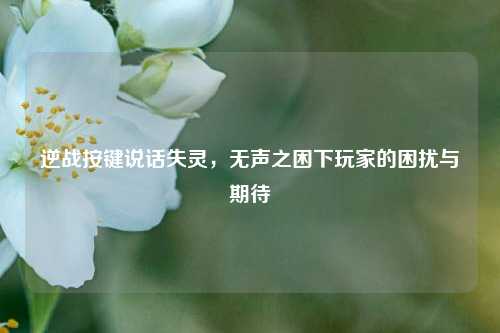 逆战按键说话失灵,无声之困下玩家的困扰与期待