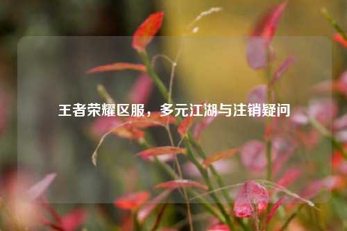 王者荣耀区服,多元江湖与注销疑问