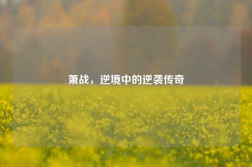 萧战,逆境中的逆袭传奇