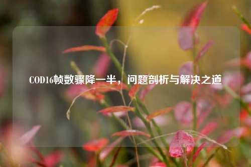 COD16帧数骤降一半,问题剖析与解决之道