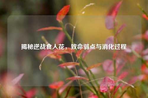 揭秘逆战食人花,致命弱点与消化过程