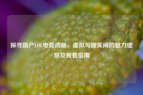 探寻国产LOL电竞动画,虚拟与现实间的魅力绽放及观看指南