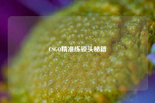 CSGO精准练锁头秘籍
