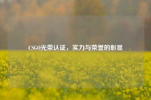 CSGO光荣认证,实力与荣誉的彰显