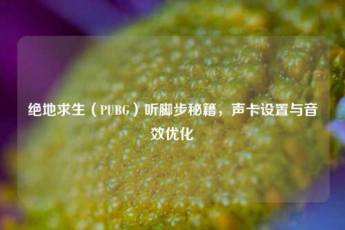 绝地求生(PUBG)听脚步秘籍,声卡设置与音效优化