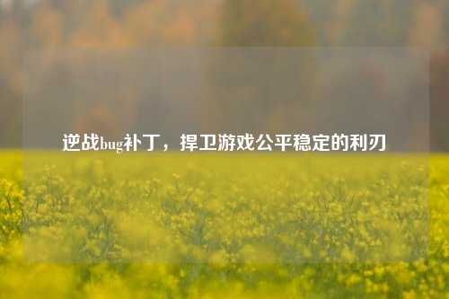 逆战bug补丁,捍卫游戏公平稳定的利刃