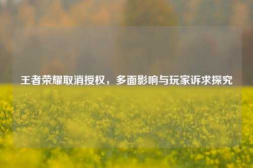 王者荣耀取消授权,多面影响与玩家诉求探究