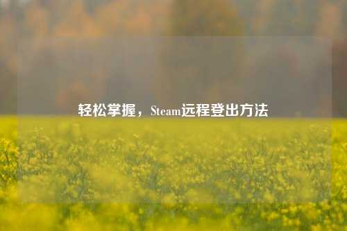 轻松掌握,Steam远程登出 ***