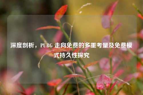 深度剖析,PUBG 走向免费的多重考量及免费模式持久性探究
