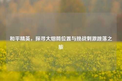 和平精英,探寻大烟筒位置与挑战***跳落之旅