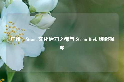 广州,Steam 文化活力之都与 Steam Deck 维修探寻
