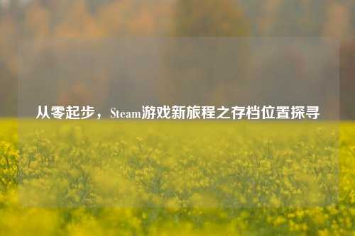 从零起步,Steam游戏新旅程之存档位置探寻