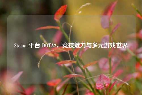 Steam 平台 DOTA2,竞技魅力与多元游戏世界