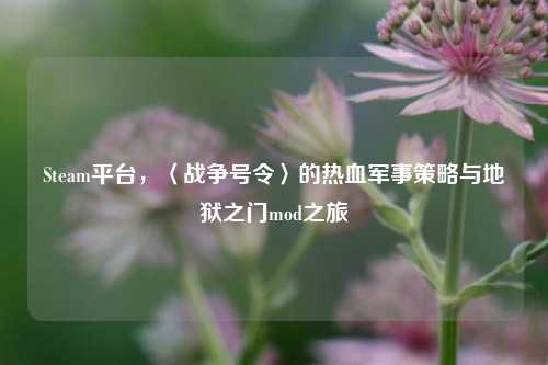 Steam平台,〈战争号令〉的热血军事策略与地狱之门mod之旅