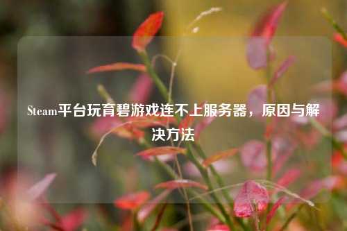 Steam平台玩育碧游戏连不上服务器,原因与解决 ***