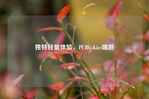 独特轻量体验,PUBG Lite端游