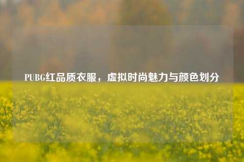 PUBG红品质衣服,虚拟时尚魅力与颜色划分