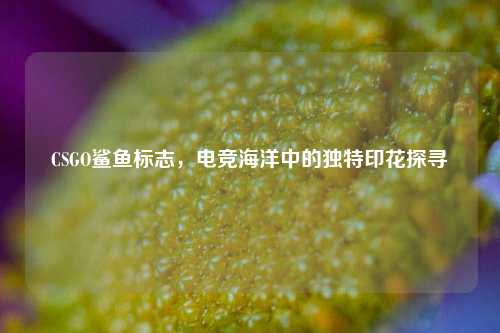 CSGO鲨鱼标志,电竞海洋中的独特印花探寻