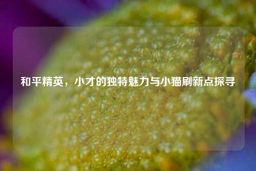 和平精英,小才的独特魅力与小猫刷新点探寻