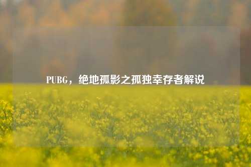 PUBG,绝地孤影之孤独幸存者解说