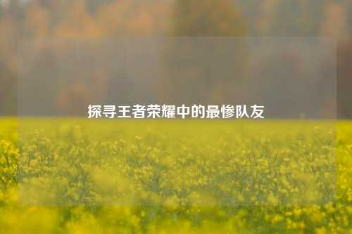 探寻王者荣耀中的最惨队友