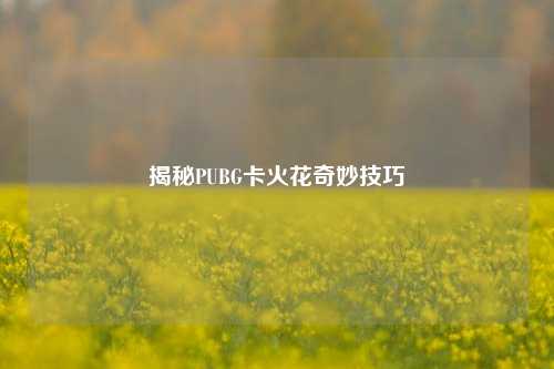 揭秘PUBG卡火花奇妙技巧