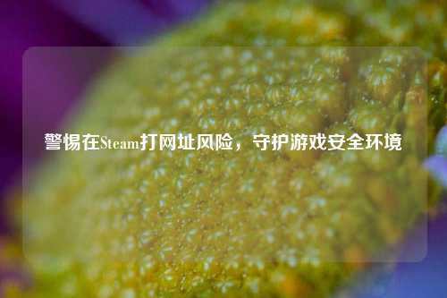 警惕在Steam打网址风险,守护游戏安全环境