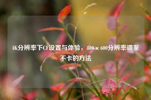 4K分辨率下CF设置与体验,800×600分辨率调至不卡的 ***