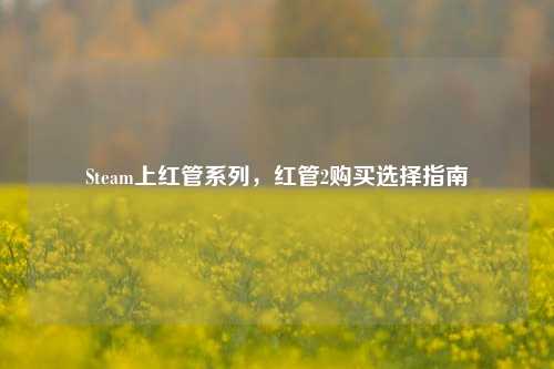 Steam上红管系列,红管2购买选择指南