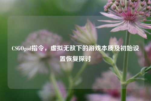 CSGOgod指令,虚拟无敌下的游戏本质及初始设置恢复探讨
