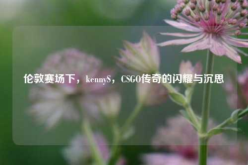 伦敦赛场下,kennyS,CSGO传奇的闪耀与沉思