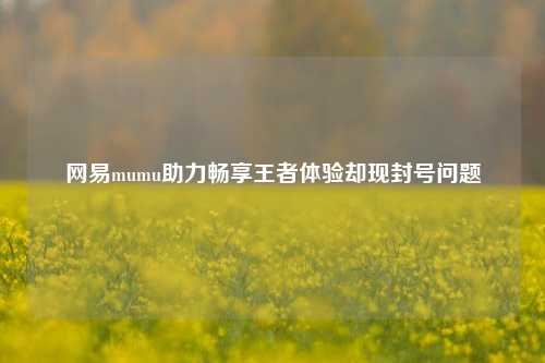 网易mumu助力畅享王者体验却现封号问题