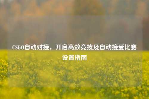 CSGO自动对接,开启高效竞技及自动接受比赛设置指南
