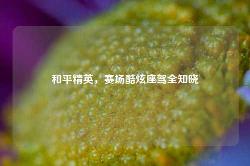 和平精英,赛场酷炫座驾全知晓