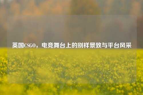 英国CSGO,电竞舞台上的别样景致与平台风采