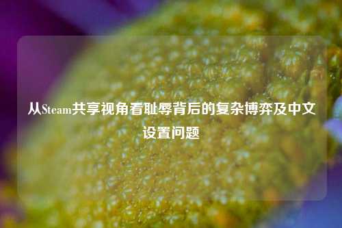 从Steam共享视角看耻辱背后的复杂博弈及中文设置问题