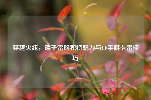 穿越火线,矮子雷的独特魅力与CF手游卡雷技巧