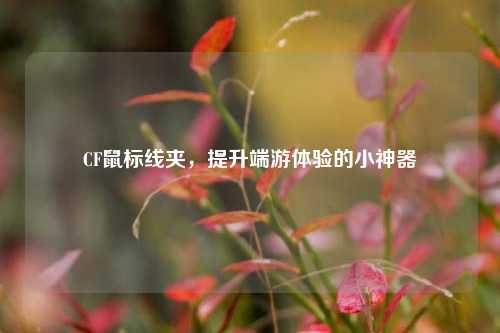 CF鼠标线夹,提升端游体验的小神器
