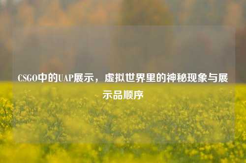 CSGO中的UAP展示,虚拟世界里的神秘现象与展示品顺序