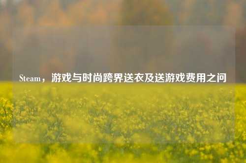 Steam,游戏与时尚跨界送衣及送游戏费用之问